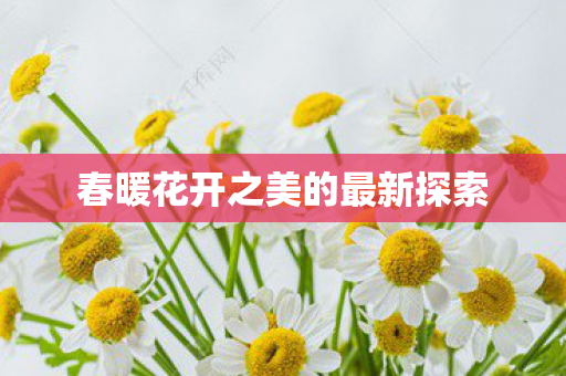 春暖花开之美的最新探索图片