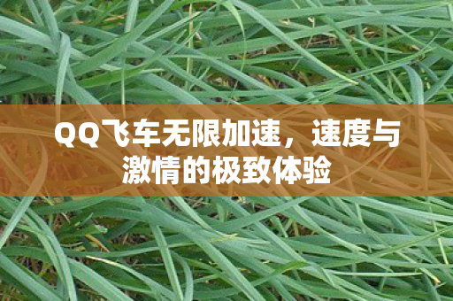 速度与激情的极致体验图片