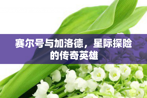 星际探险的传奇英雄图片