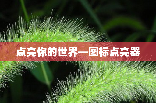 点亮你的世界图片
