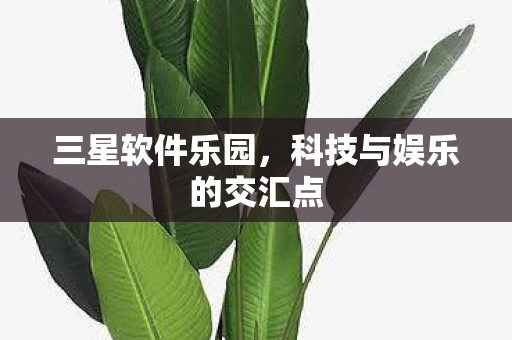 科技与娱乐的交汇点图片