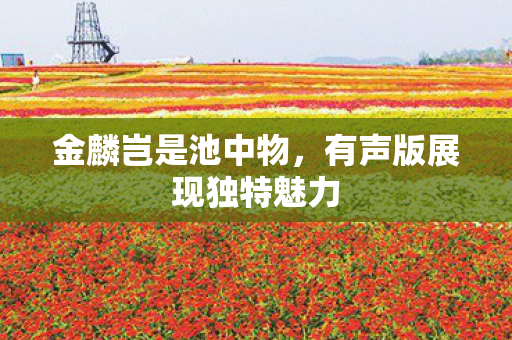 有声版展现独特魅力图片