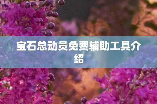 宝石总动员免费辅助工具介绍图片