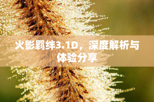 深度解析与体验分享图片