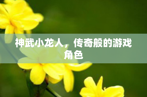 传奇般的游戏角色图片