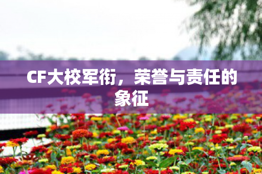 荣誉与责任的象征图片