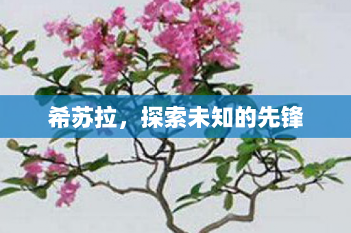 探索未知的先锋图片
