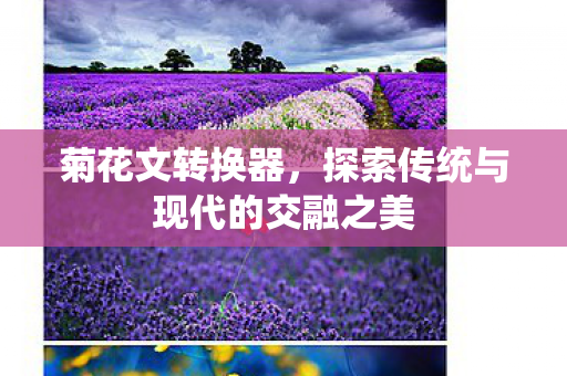 探索传统与现代的交融之美图片