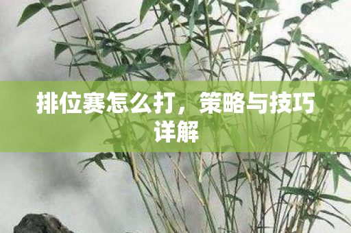 策略与技巧详解图片