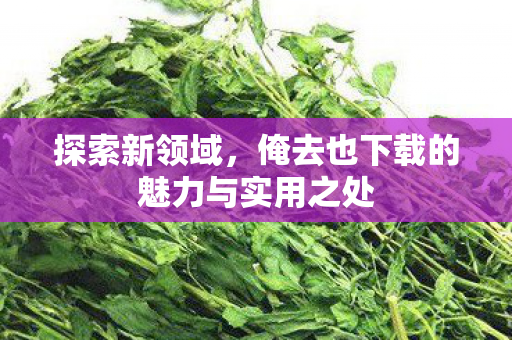 俺去也下载的魅力与实用之处图片