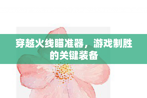 游戏制胜的关键装备图片