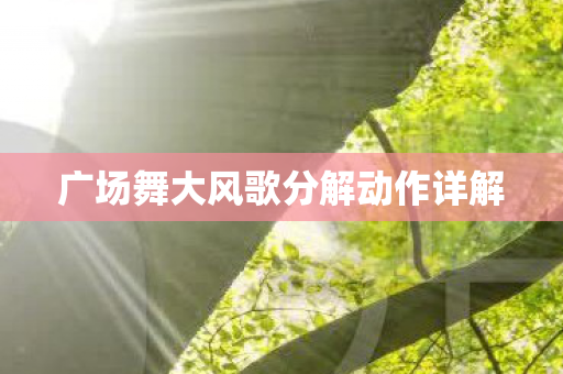 广场舞大风歌分解动作详解图片