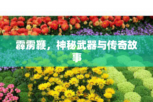 神秘武器与传奇故事图片