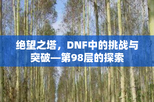 DNF中的挑战与突破图片