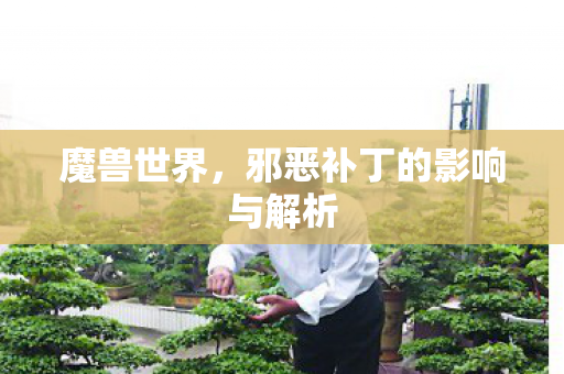 邪恶补丁的影响与解析图片