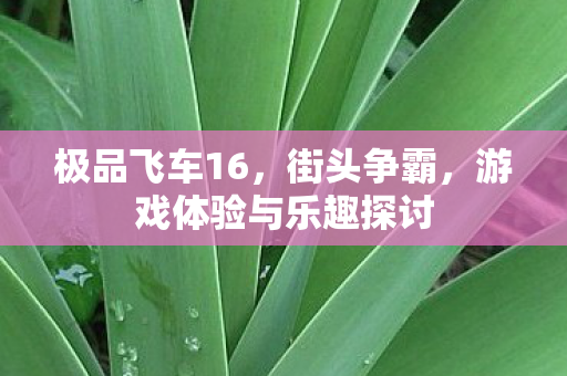 游戏体验与乐趣探讨图片