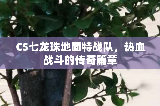 CS七龙珠地面特战队图片
