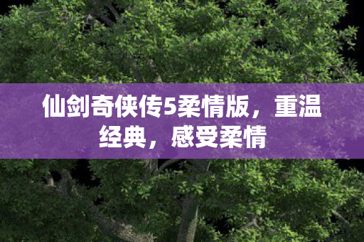 仙剑奇侠传5柔情版图片