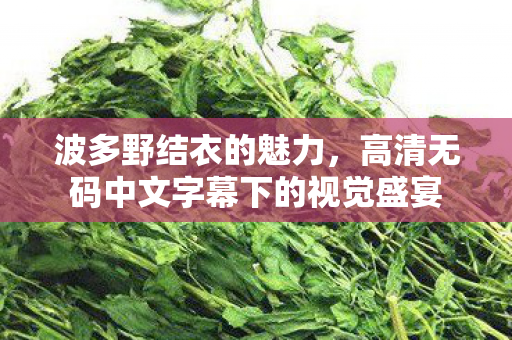 高清无码中文字幕下的视觉盛宴图片