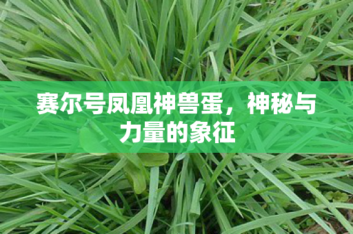 赛尔号凤凰神兽蛋图片