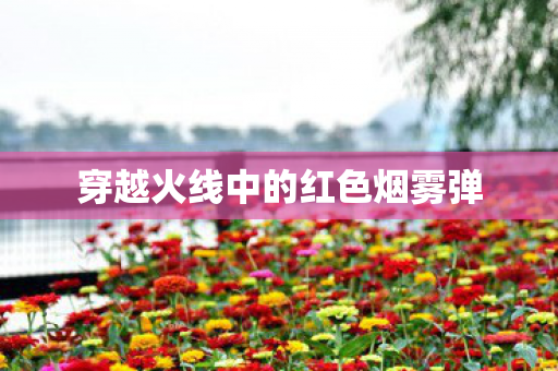 穿越火线中的红色烟雾弹图片
