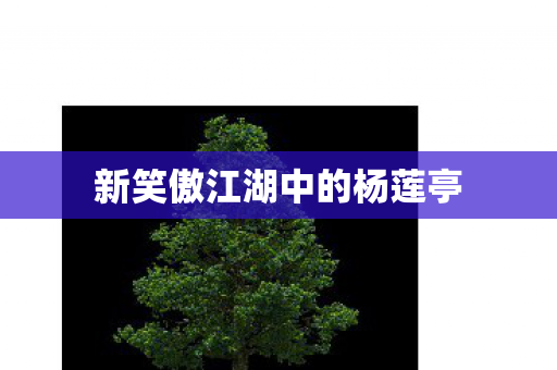 新笑傲江湖中的杨莲亭图片