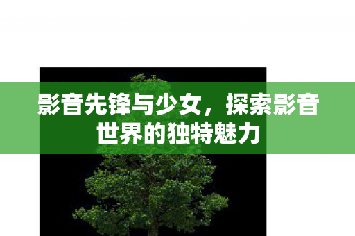 探索影音世界的独特魅力图片