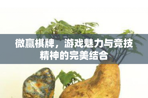 游戏魅力与竞技精神的完美结合图片