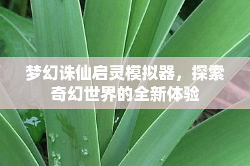 探索奇幻世界的全新体验图片