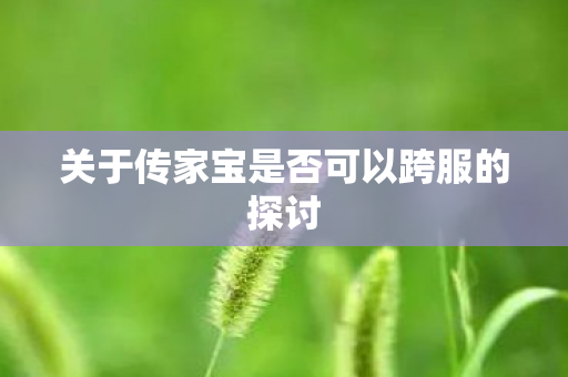关于传家宝是否可以跨服的探讨图片