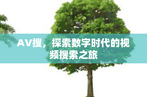 探索数字时代的视频搜索之旅图片