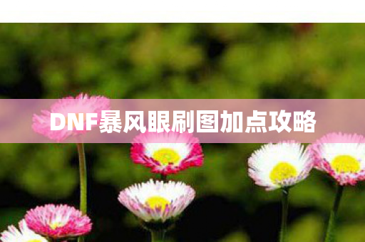 DNF暴风眼刷图加点攻略图片