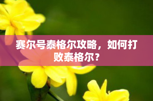 赛尔号泰格尔攻略图片