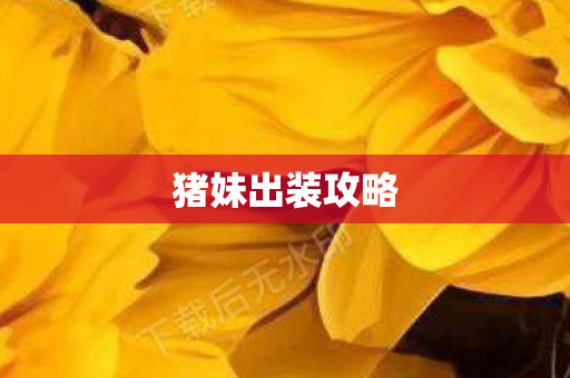 猪妹出装攻略图片