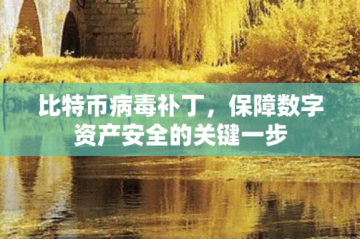 保障数字资产安全的关键一步图片