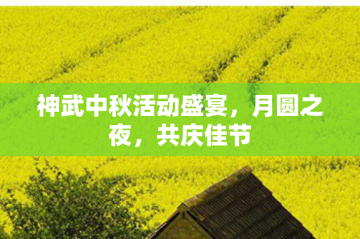 神武中秋活动盛宴图片