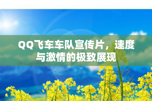 速度与激情的极致展现图片