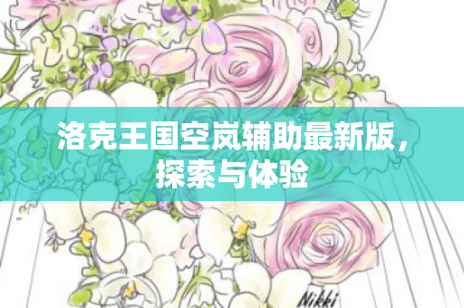 洛克王国空岚辅助最新版图片