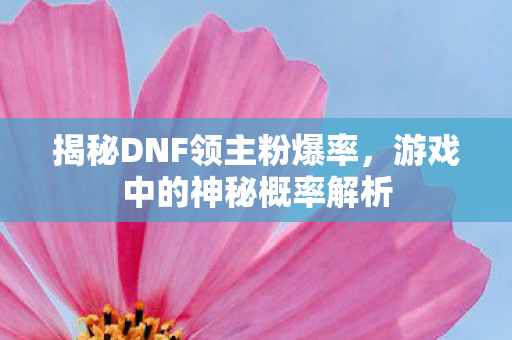 揭秘DNF领主粉爆率图片