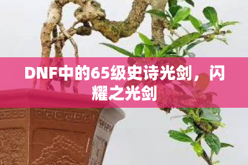 DNF中的65级史诗光剑图片