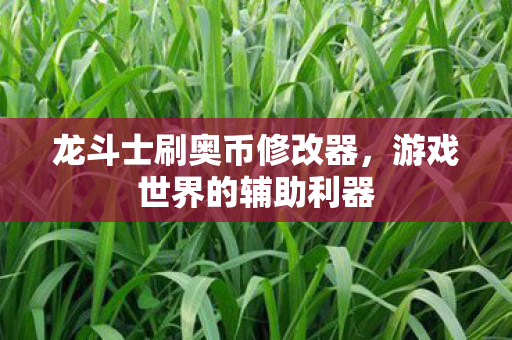 龙斗士刷奥币修改器图片