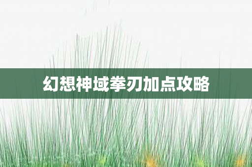 幻想神域拳刃加点攻略图片