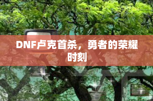 DNF卢克首杀图片