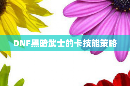 DNF黑暗武士的卡技能策略图片