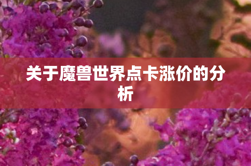 关于魔兽世界点卡涨价的分析图片