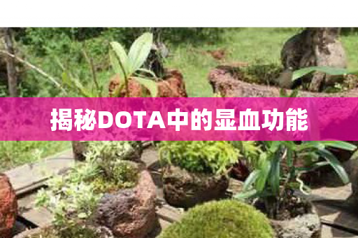 揭秘DOTA中的显血功能图片