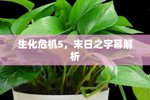 末日之字幕解析图片