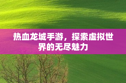探索虚拟世界的无尽魅力图片