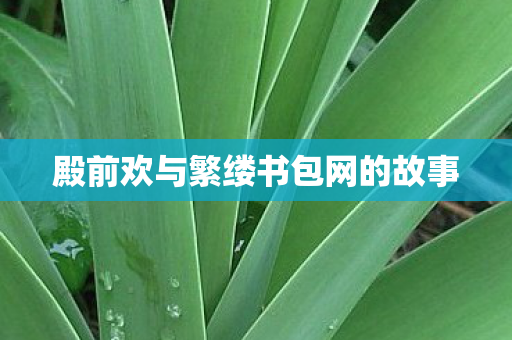 殿前欢与繁缕书包网的故事图片