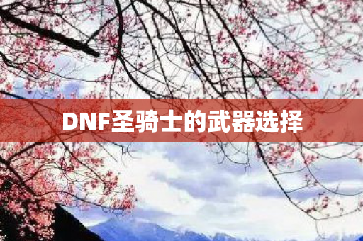 DNF圣骑士的武器选择图片